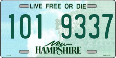 NH license plate 1019337