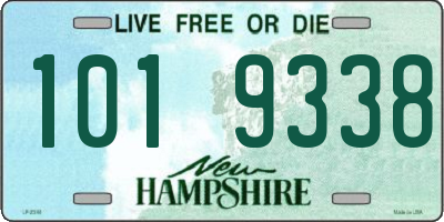NH license plate 1019338