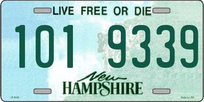 NH license plate 1019339