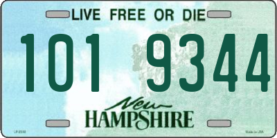 NH license plate 1019344