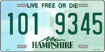 NH license plate 1019345