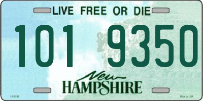 NH license plate 1019350