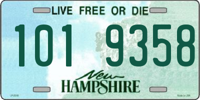 NH license plate 1019358