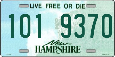 NH license plate 1019370