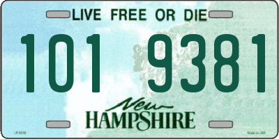 NH license plate 1019381