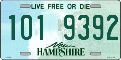 NH license plate 1019392