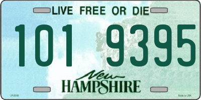 NH license plate 1019395