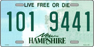 NH license plate 1019441