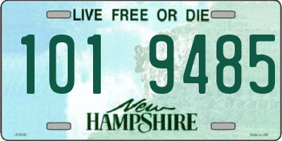 NH license plate 1019485