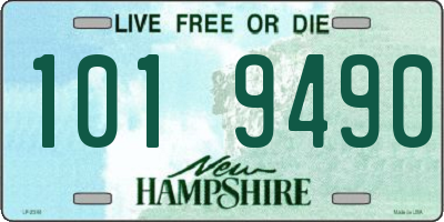 NH license plate 1019490
