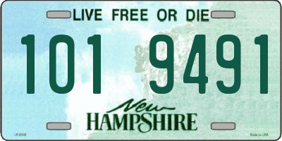 NH license plate 1019491