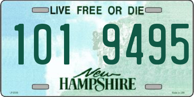 NH license plate 1019495
