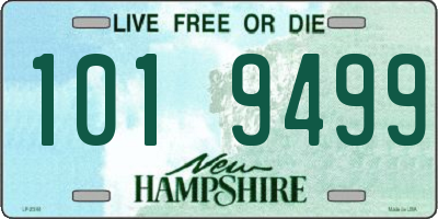 NH license plate 1019499