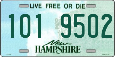 NH license plate 1019502