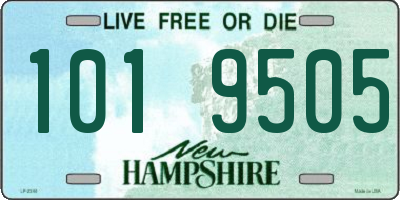 NH license plate 1019505