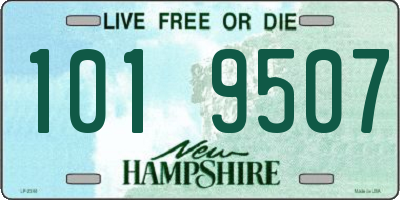 NH license plate 1019507