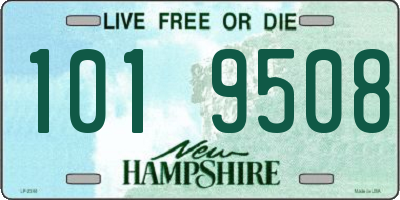 NH license plate 1019508