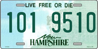 NH license plate 1019510