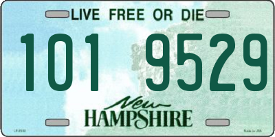 NH license plate 1019529