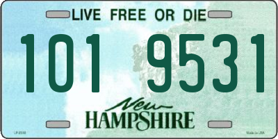 NH license plate 1019531