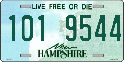 NH license plate 1019544
