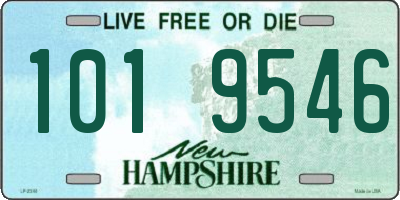 NH license plate 1019546