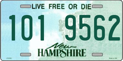 NH license plate 1019562