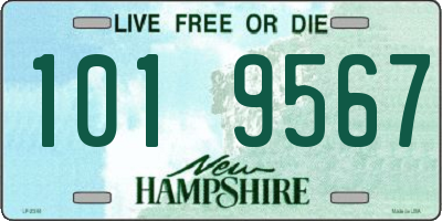 NH license plate 1019567