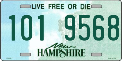 NH license plate 1019568