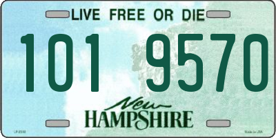 NH license plate 1019570