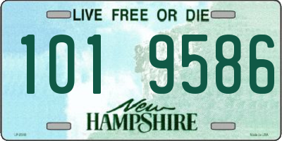 NH license plate 1019586