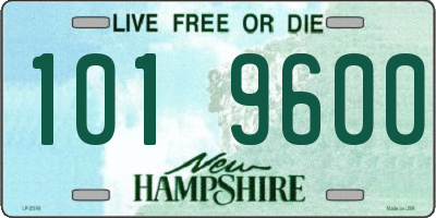 NH license plate 1019600