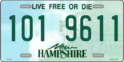 NH license plate 1019611