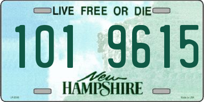 NH license plate 1019615