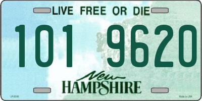 NH license plate 1019620