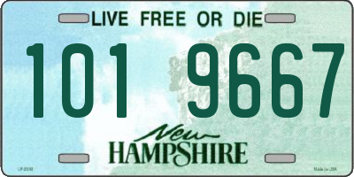 NH license plate 1019667