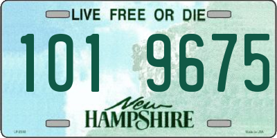 NH license plate 1019675