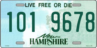 NH license plate 1019678