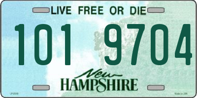 NH license plate 1019704