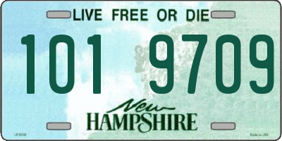 NH license plate 1019709