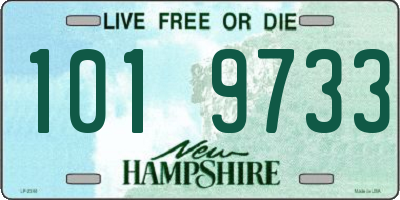 NH license plate 1019733