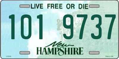 NH license plate 1019737