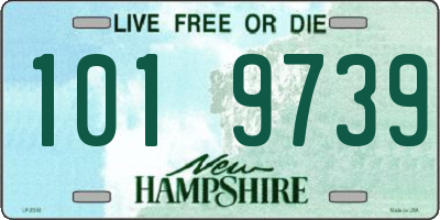 NH license plate 1019739
