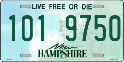 NH license plate 1019750