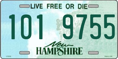 NH license plate 1019755