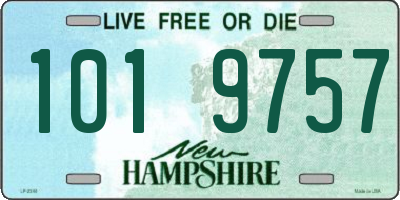 NH license plate 1019757