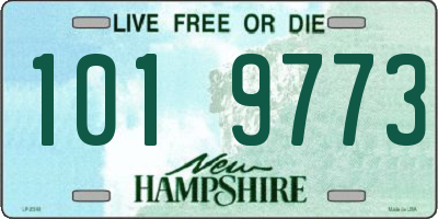 NH license plate 1019773