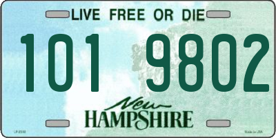 NH license plate 1019802