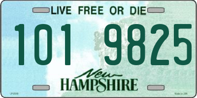 NH license plate 1019825