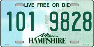 NH license plate 1019828